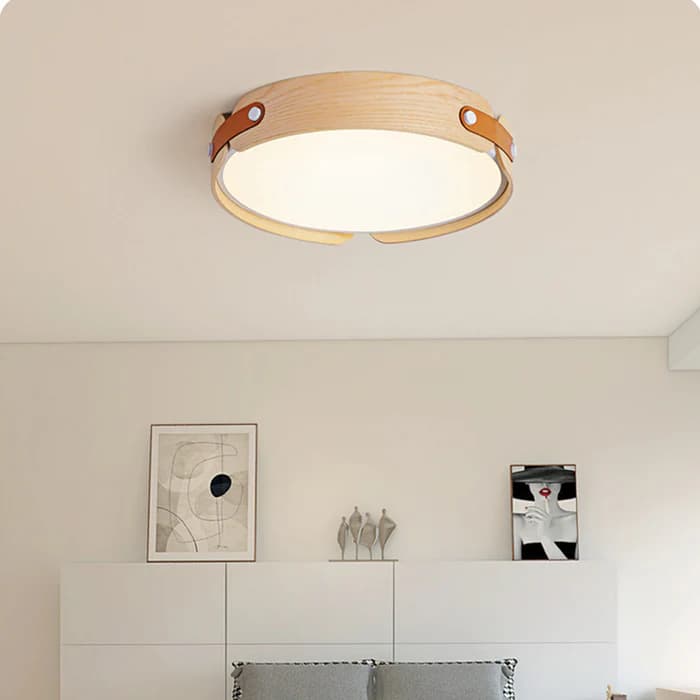 LM-412-42 ceiling light